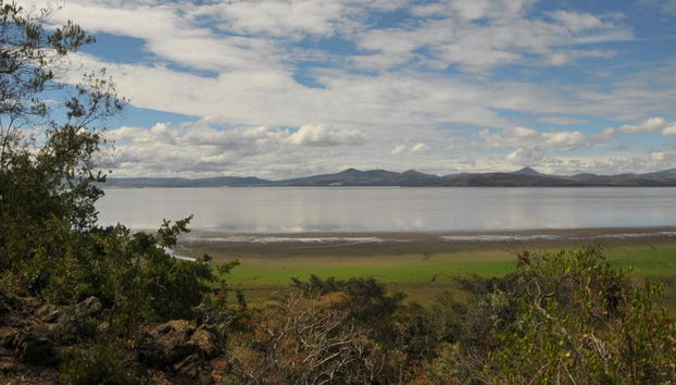 Excursión de un día al lago Naivasha y al Parque Nacional Hells Gate - Foto 4